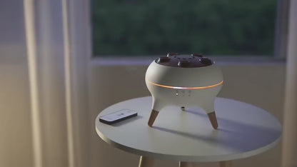 Dynamic Jellyfish Air Humidifier 250ml Essential Oil Diffuser Remote Control Bedroom Humidifier With 7 Colorful Night Lights